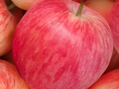1P23042N-0.jpg